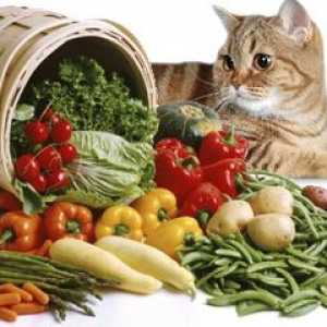 Hrana, prehrana i dijeta za pse i mačke s pankreatitisom od hrane?