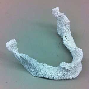 Kosti implantata 3D-pisač prirodnog kosti i plastike