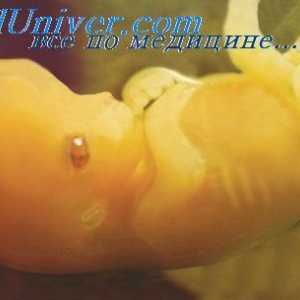 Urogenitalnog sinusa embrij. Razvoj spolnih organa fetusa