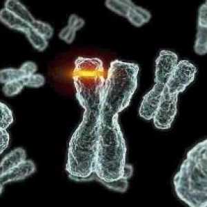 Mutacije koje dovode do nasljedne bolesti kod ljudi