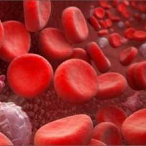 Poremećaji krvarenja: opće odredbe, simptomi, uzroci