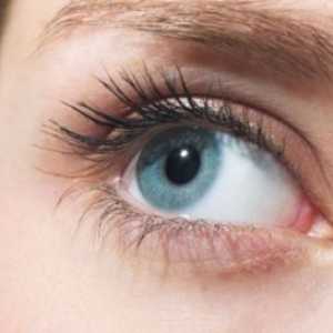Optički sustav ljudskog oka i njegove dobne promjene