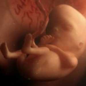 Perednegolovnoe fetusa prezentacija