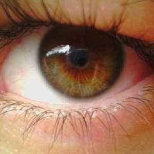Pigmentni degeneracija mrežnice tretmana oka