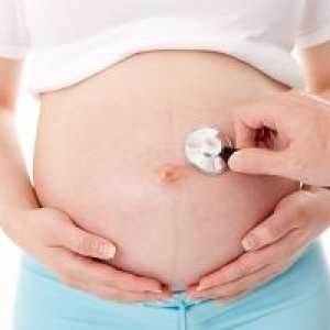 Posteljica tijekom trudnoće