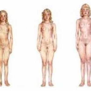 Preuranjenog puberteta kod žena: Znakovi