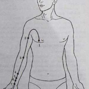Mjesto i anatomija tijela bodova za aromaterapiju. Meridian perikard