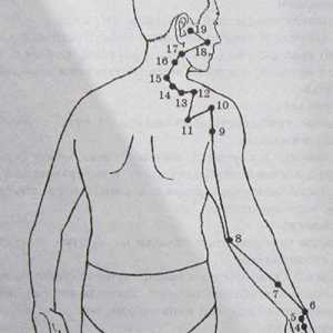 Mjesto i anatomija tijela bodova za aromaterapiju. Meridijan tankog crijeva