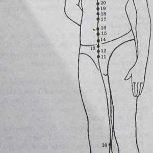 Mjesto i anatomija tijela bodova za aromaterapiju. bubrega Meridian