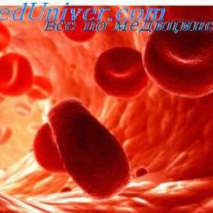 Eritrociti. Struktura i sastav crvenih krvnih stanica