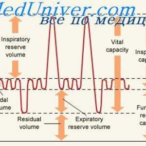 Respiratornog volumena minuta. alveolarna ventilacija