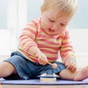 Razvoj djeteta od 1. i 10 mjeseci do 2 godine: motoričke sposobnosti, kreativnost, verbalnog,…