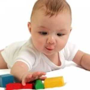Razvoj djeteta od 1. i 7. mjeseca do 1 godine i 9 mjeseci: motoričke sposobnosti, kreativnost,…