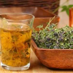Recepti liječenje pinworms vazelin ulje, sjemenke bundeve i homeopatiju