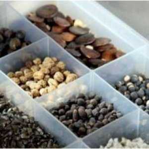 Prikupljanje i skladištenje sjemena
