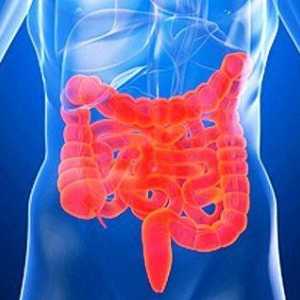 Simptomi sindrom iritabilnog crijeva (IBS)