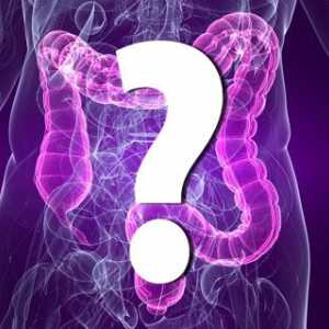 Sindrom iritabilnog crijeva (IBS)