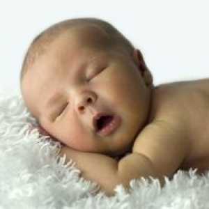 Co-spava sa novorođenče, spavanje u roditeljskom krevetu