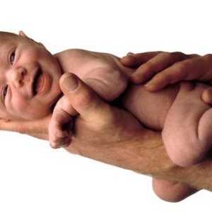 Prijevremeni porod i indikacije za carski rez tijekom trudnoće i porođaja ..