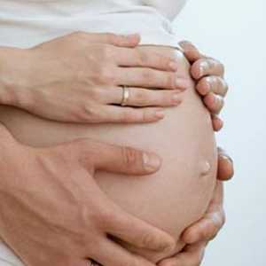 Ženska konzultacije na 15. tjedna beremennosti.chto trebate znati trudnice u ovom razdoblju.