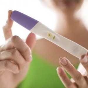 HCG vrijednosti izvanmaternične trudnoće beremennosti.vnematochnaya postaje prava tragedija za žene…