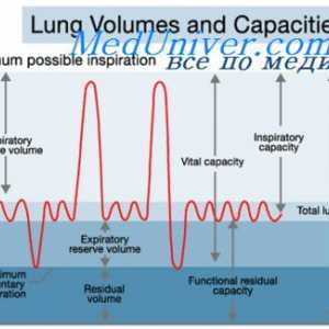 Utjecaj rastezanje prsnog koša pluća. spirometrija