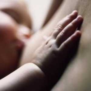 Pitanja vezana za dojenje bebe