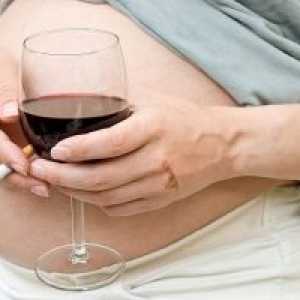 Zdrav način života i loše navike u trudnoći